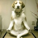 สมาชิกหมายเลข 1817784