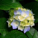 สมาชิกหมายเลข 3893240