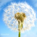 สมาชิกหมายเลข 914073