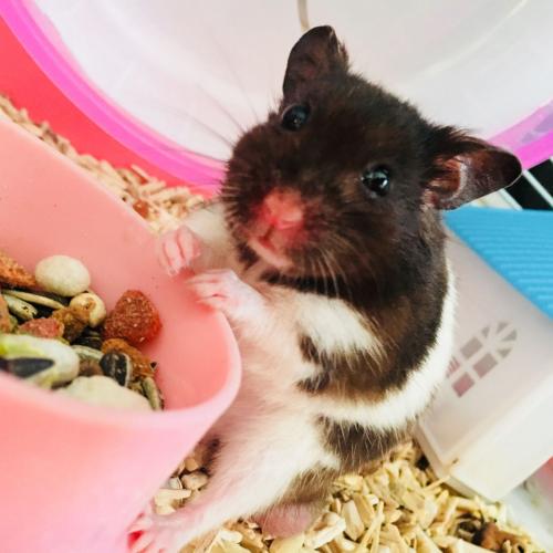 สมาชิกหมายเลข 4725252