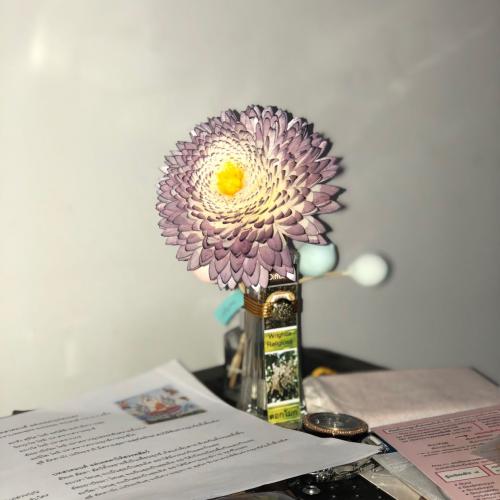 สมาชิกหมายเลข 4903795