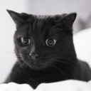 สมาชิกหมายเลข 2237756