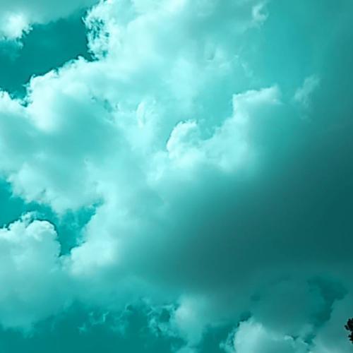 สมาชิกหมายเลข 4859709