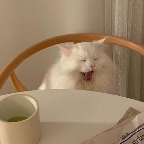 สมาชิกหมายเลข 6019253