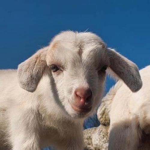 สมาชิกหมายเลข 6297456