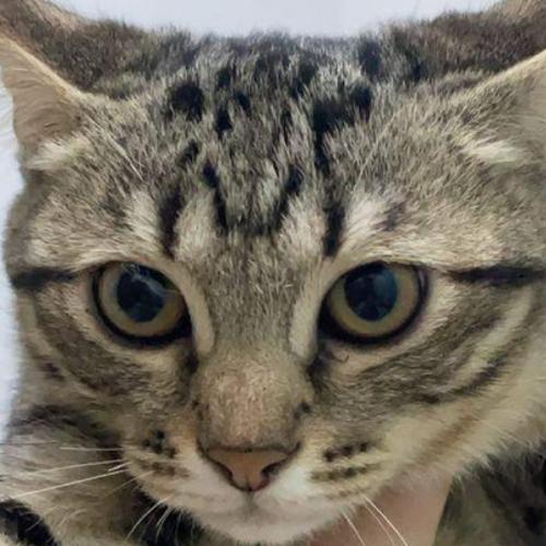 สมาชิกหมายเลข 6640718