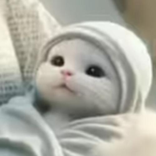 สมาชิกหมายเลข 7561689