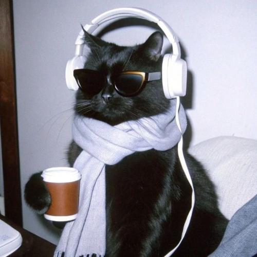 สมาชิกหมายเลข 1142689