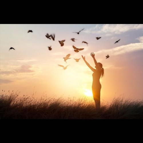 สมาชิกหมายเลข 4725713