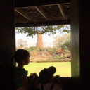 สมาชิกหมายเลข 1558879