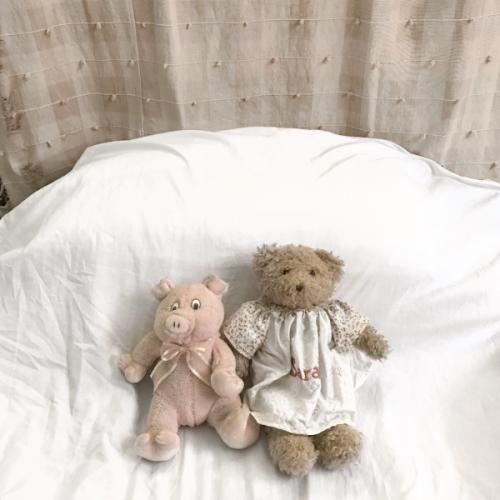 สมาชิกหมายเลข 6025497