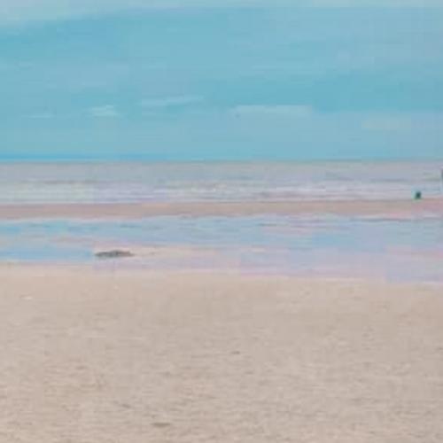 สมาชิกหมายเลข 4225768