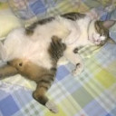 สมาชิกหมายเลข 1221766