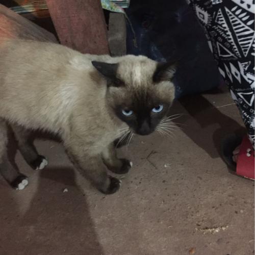 สมาชิกหมายเลข 4355773