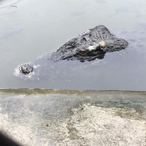 สมาชิกหมายเลข 3466349