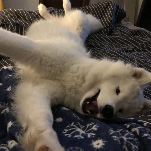 สมาชิกหมายเลข 4574810