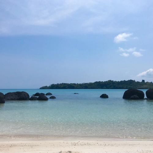 สมาชิกหมายเลข 4724850