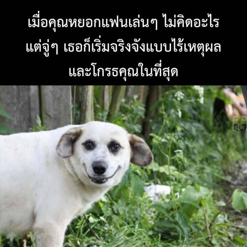 สมาชิกหมายเลข 2626961