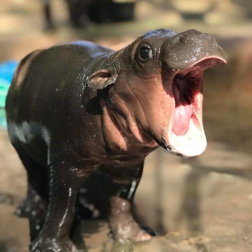 สมาชิกหมายเลข 3894964