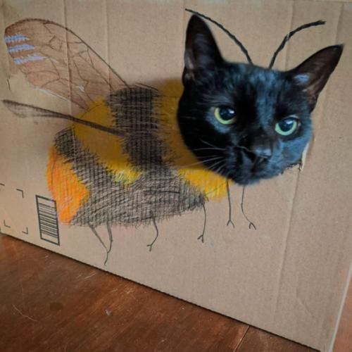 สมาชิกหมายเลข 5278224