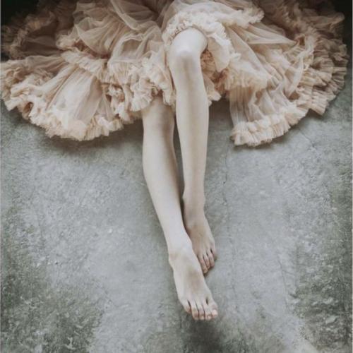 สมาชิกหมายเลข 6018040