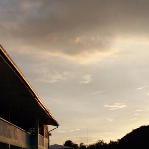 สมาชิกหมายเลข 6027175