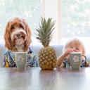 สมาชิกหมายเลข 3462421