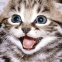 สมาชิกหมายเลข 3894884