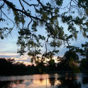 สมาชิกหมายเลข 3234504