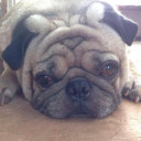 สมาชิกหมายเลข 4093519