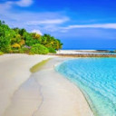 สมาชิกหมายเลข 4432650