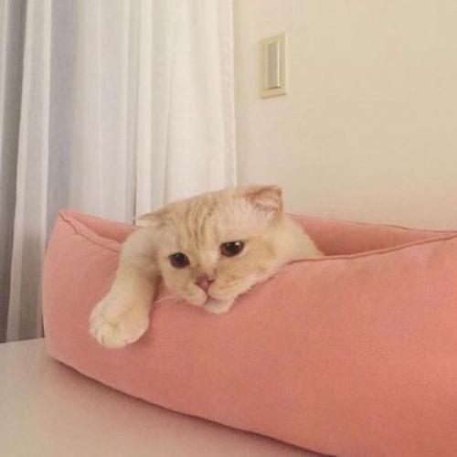 สมาชิกหมายเลข 5099070