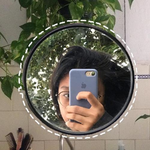 สมาชิกหมายเลข 5101274