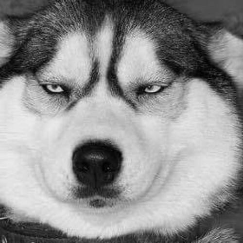 สมาชิกหมายเลข 5490534