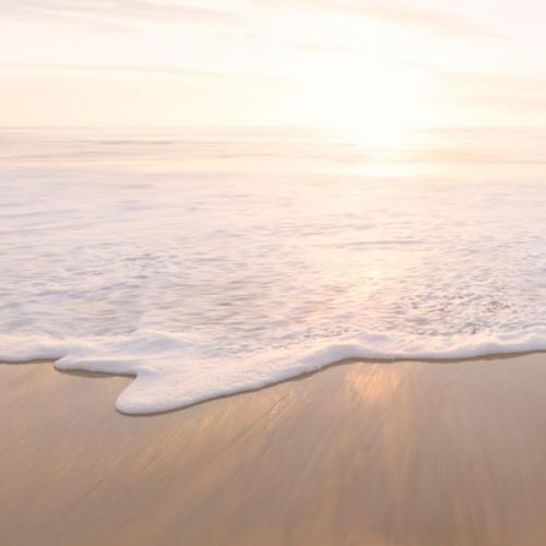 สมาชิกหมายเลข 5882892