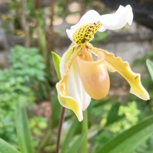 สมาชิกหมายเลข 4687208