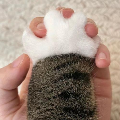 สมาชิกหมายเลข 7512057