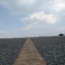 สมาชิกหมายเลข 3880129