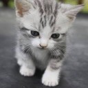 สมาชิกหมายเลข 3895210