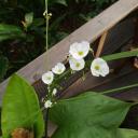 สมาชิกหมายเลข 883847