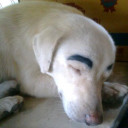 สมาชิกหมายเลข 4361716