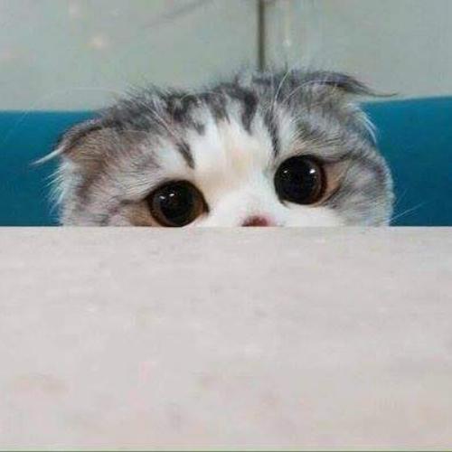 สมาชิกหมายเลข 4725571