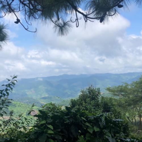 สมาชิกหมายเลข 5463986