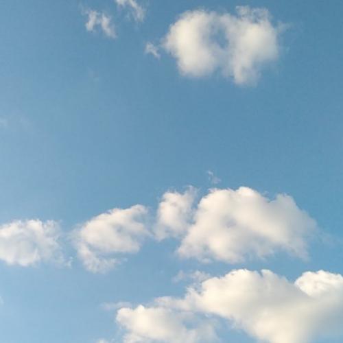 สมาชิกหมายเลข 6830526