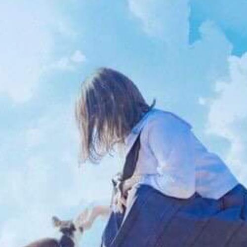 สมาชิกหมายเลข 7377519