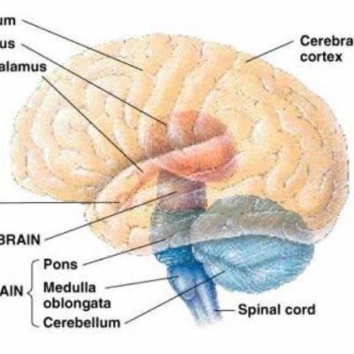 สมาชิกหมายเลข 7381717