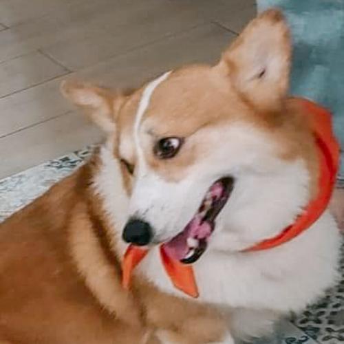 สมาชิกหมายเลข 7388008