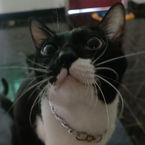 Lifeสาระ By FoTo