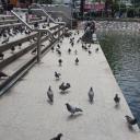 สมาชิกหมายเลข 3834025