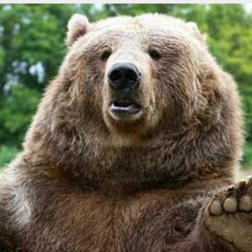 สมาชิกหมายเลข 4437423